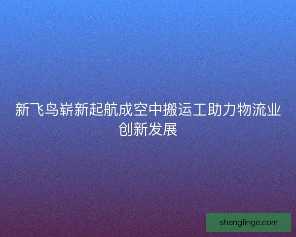 新飞鸟崭新起航成空中搬运工助力物流业创新发展