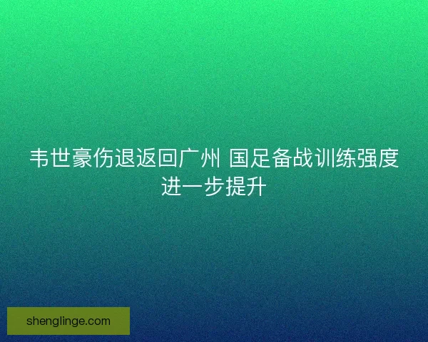 韦世豪伤退返回广州 国足备战训练强度进一步提升