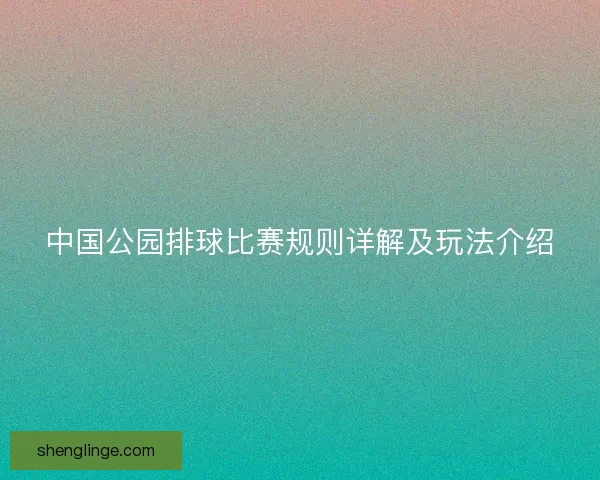 中国公园排球比赛规则详解及玩法介绍