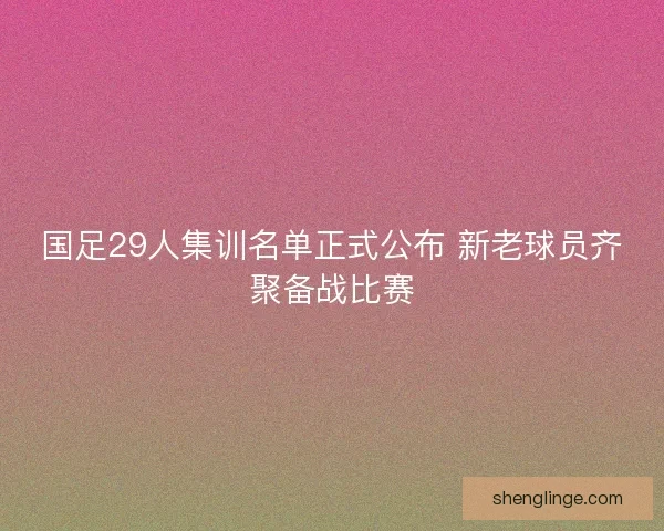 国足29人集训名单正式公布 新老球员齐聚备战比赛